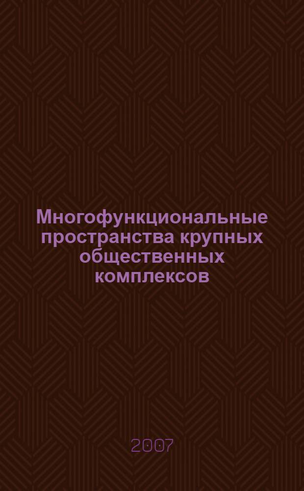 Многофункциональные пространства крупных общественных комплексов : автореф. дис. на соиск. учен. степ. канд. архитектуры : специальность 18.00.01 <Теория и история архитектуры, реставрация и реконструкция ист.-архитектур. наследия>