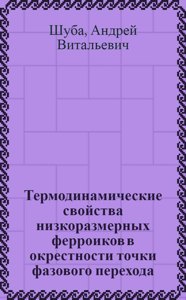 Термодинамические свойства низкоразмерных ферроиков в окрестности точки фазового перехода : автореф. дис. на соиск. учен. степ. канд. физ.-мат. наук : специальность 01.04.07 <Физика конденсир. состояния>