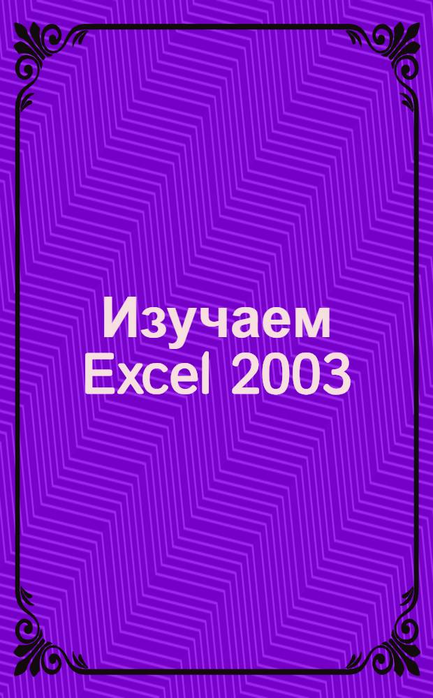 Изучаем Excel 2003 : практический курс