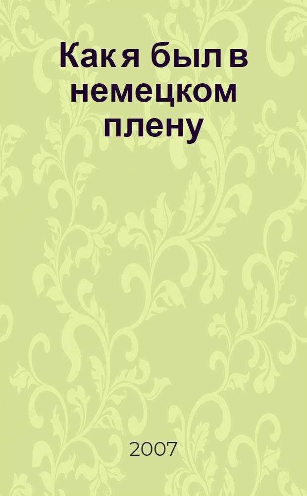 Как я был в немецком плену