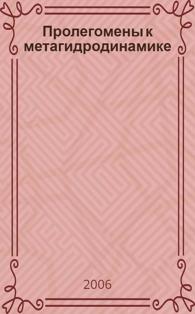 Пролегомены к метагидродинамике