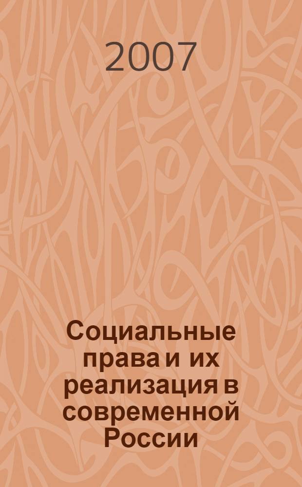 Социальные права и их реализация в современной России : (монография)