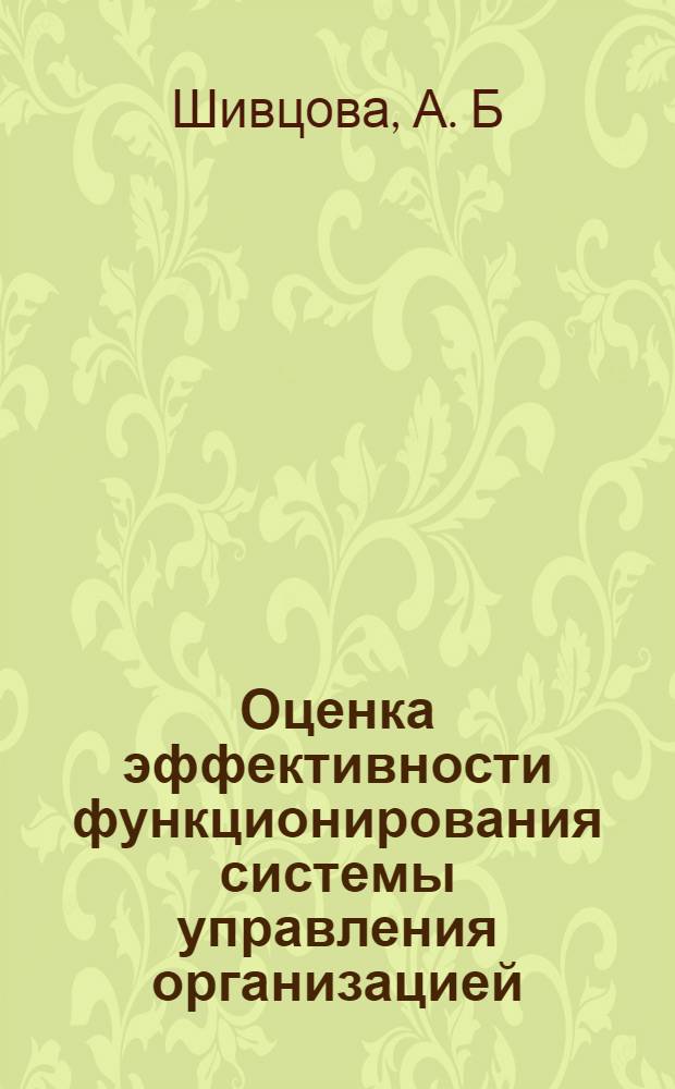 Оценка эффективности функционирования системы управления организацией