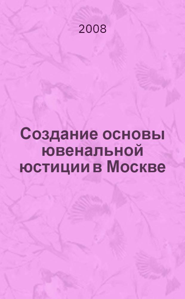 Создание основы ювенальной юстиции в Москве: концепция, практика, законодательство : аналитический доклад