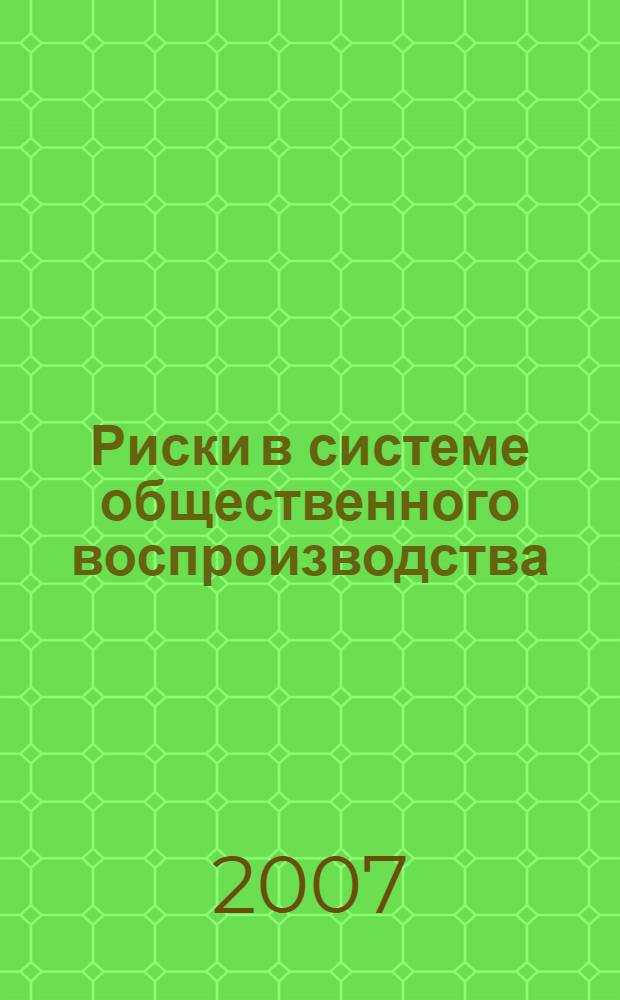 Риски в системе общественного воспроизводства : автореф. дис. на соиск. учен. степ. канд. экон. наук : специальность 08.00.01 <Экон. теория>