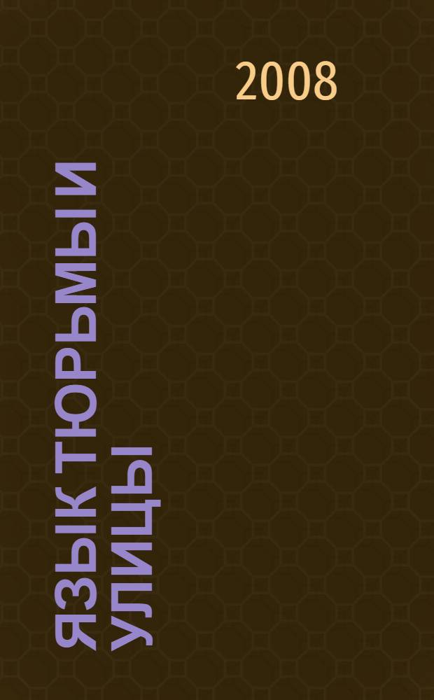 Язык тюрьмы и улицы : словарь