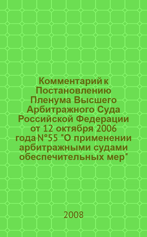 Комментарий к Постановлению Пленума Высшего Арбитражного Суда Российской Федерации от 12 октября 2006 года N°55 "О применении арбитражными судами обеспечительных мер"