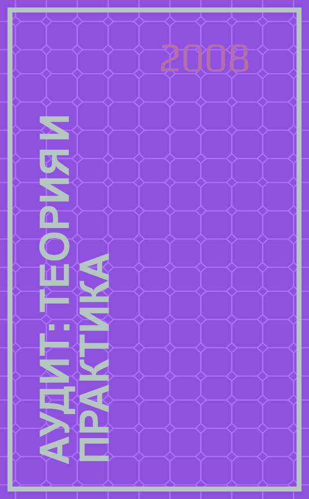 Аудит : теория и практика : организация, документация, методы