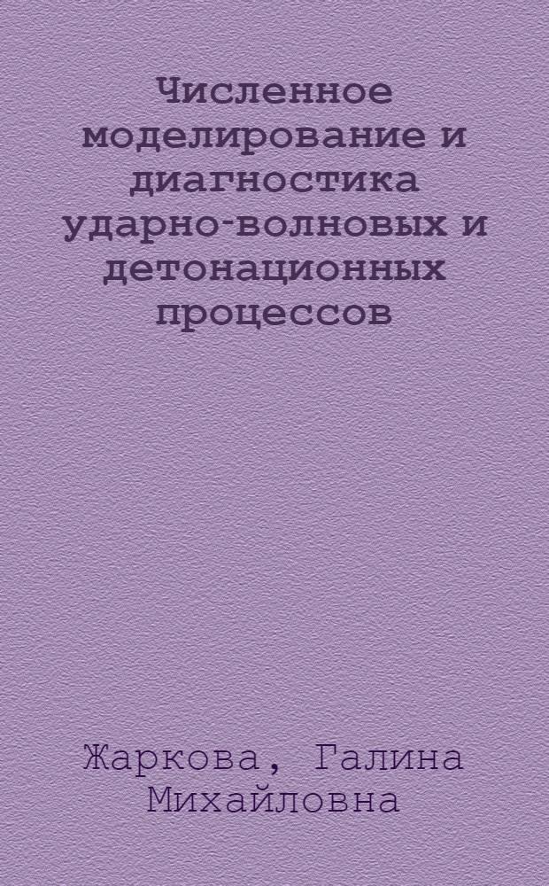 Численное моделирование и диагностика ударно-волновых и детонационных процессов
