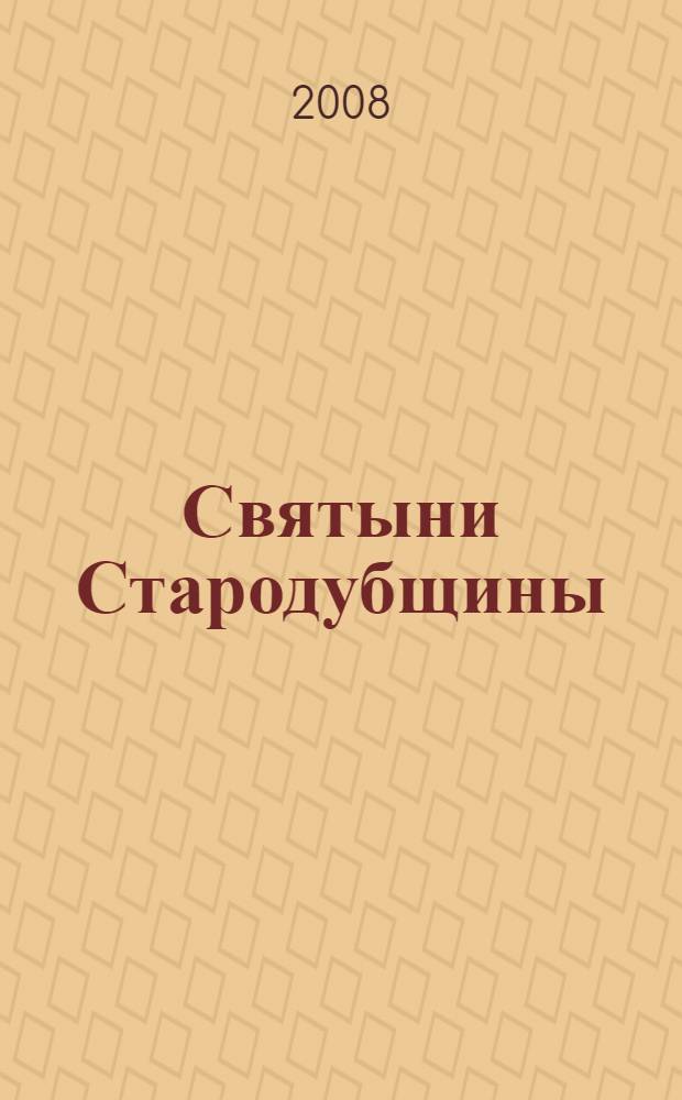 Святыни Стародубщины : урок истории в 11 классе