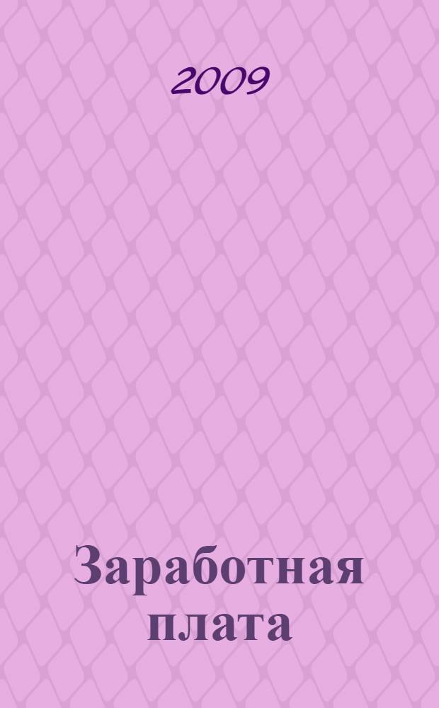 Заработная плата : бухгалтерские, налоговые и правоввые аспекты : с учетом изменений законодательства на 2009 год