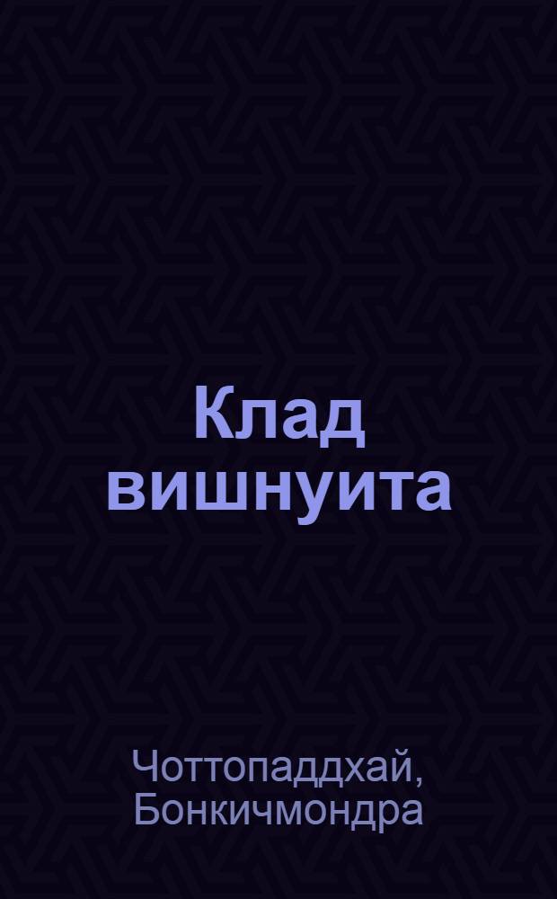 Клад вишнуита