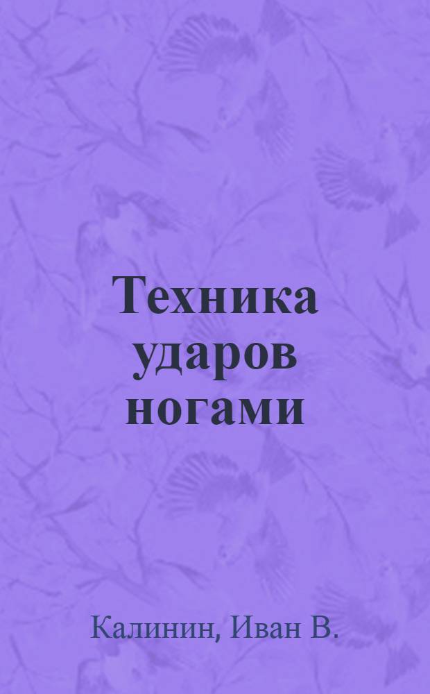 Техника ударов ногами : методическое пособие