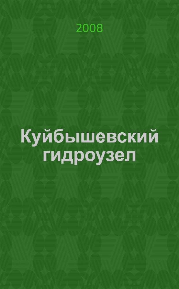 Куйбышевский гидроузел: история создания и последствия : автореф. дис. на соиск. учен. степ. канд. ист. наук : специальность 07.00.02 <Отечеств. история>