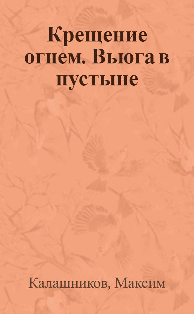 Крещение огнем. Вьюга в пустыне