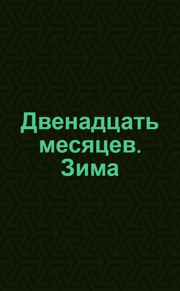 Двенадцать месяцев. Зима : развивающий видеоматериал для занятий с детьми старшего и младшего школьного возраста : по мотивам произведений русских и советских писателей: М. Пришвина, В. Бианки, Н. Сладкова и др.