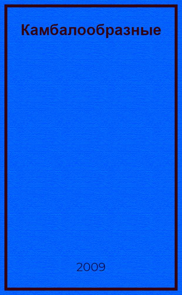 Камбалообразные (Pleuronectiformes) дальневосточных морей России : (пространственная организация фауны, сезоны и продолжительность нереста, популяционная структура вида, динамика популяций) : автореф. дис. на соиск. учен. степ. д-ра биол. наук : специальность 03.00.10 <Ихтиология>