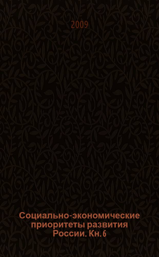Социально-экономические приоритеты развития России. Кн. 6