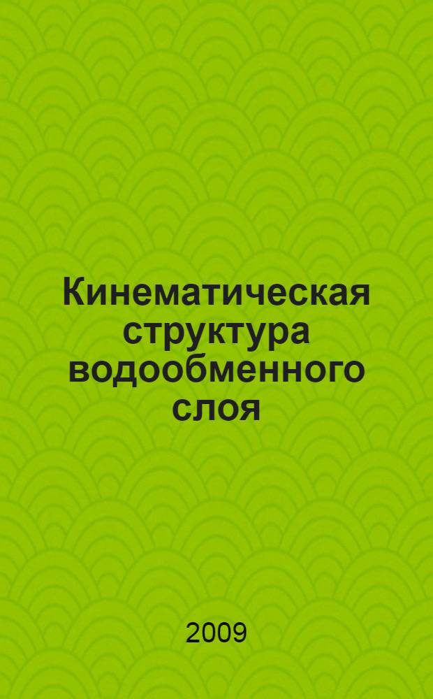 Кинематическая структура водообменного слоя