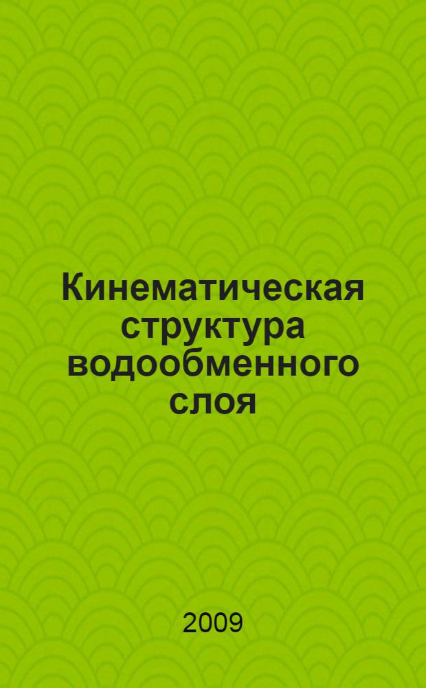 Кинематическая структура водообменного слоя