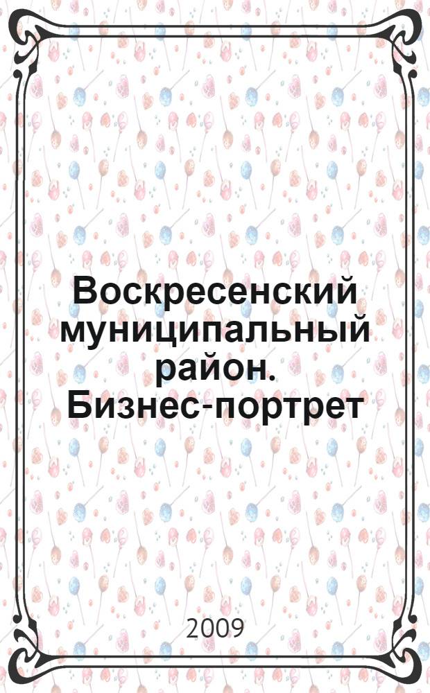 Воскресенский муниципальный район. Бизнес-портрет
