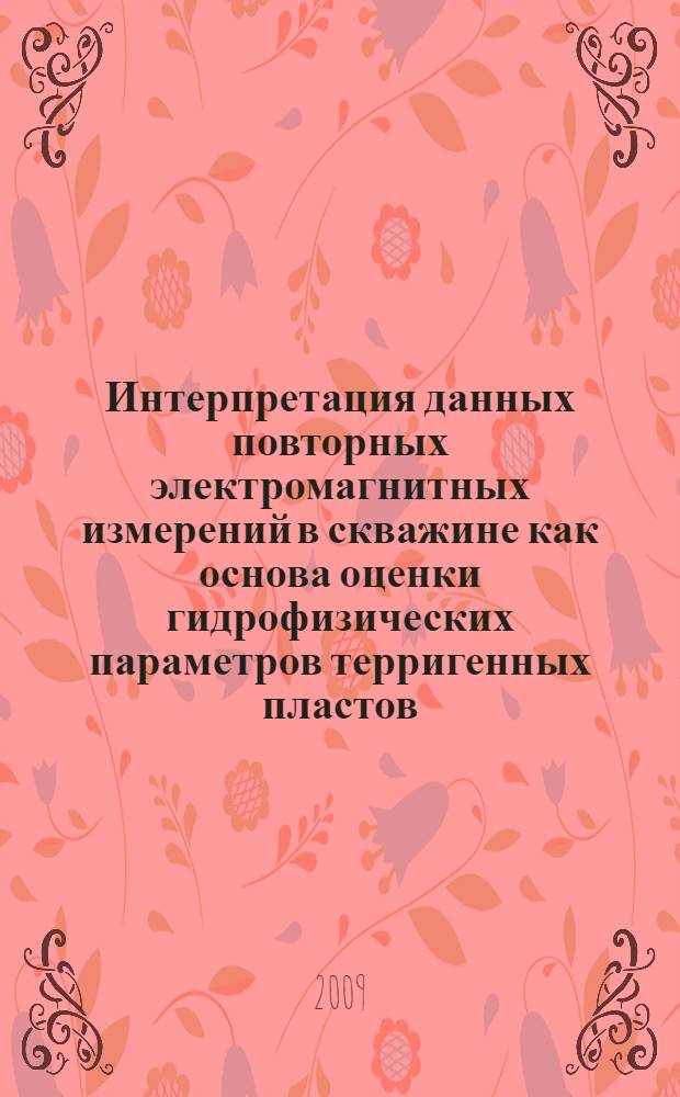 Интерпретация данных повторных электромагнитных измерений в скважине как основа оценки гидрофизических параметров терригенных пластов : автореф. дис. на соиск. учен. степ. канд. техн. наук : специальность 25.00.10 <Геофизика, геофиз. методы поисков полез. ископаемых>