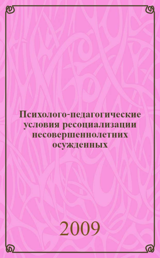 Психолого-педагогические условия ресоциализации несовершеннолетних осужденных : автореф. дис. на соиск. учен. степ. канд. психол. наук : специальность 19.00.07 <Пед. психология>