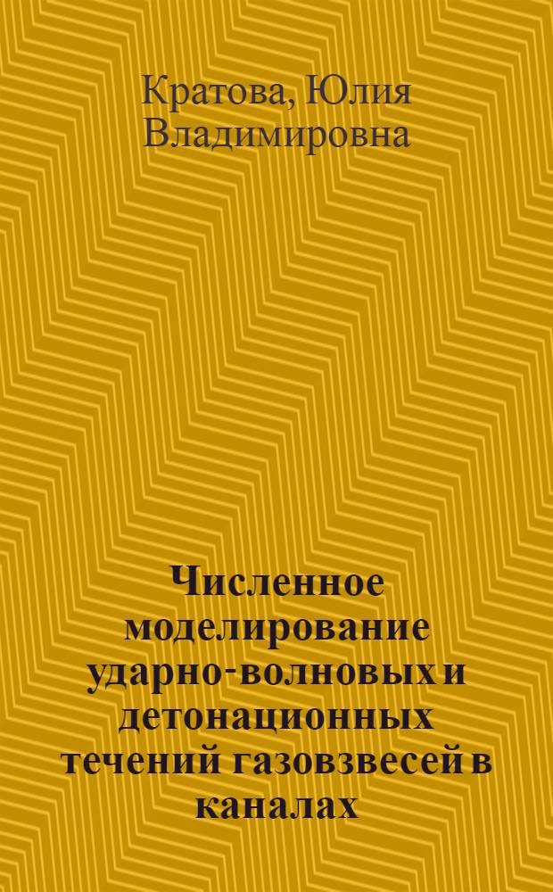 Численное моделирование ударно-волновых и детонационных течений газовзвесей в каналах : автореф. дис. на соиск. учен. степ. канд. физ.-мат. наук : специальность 01.02.05 <Механика жидкости, газа и плазмы>