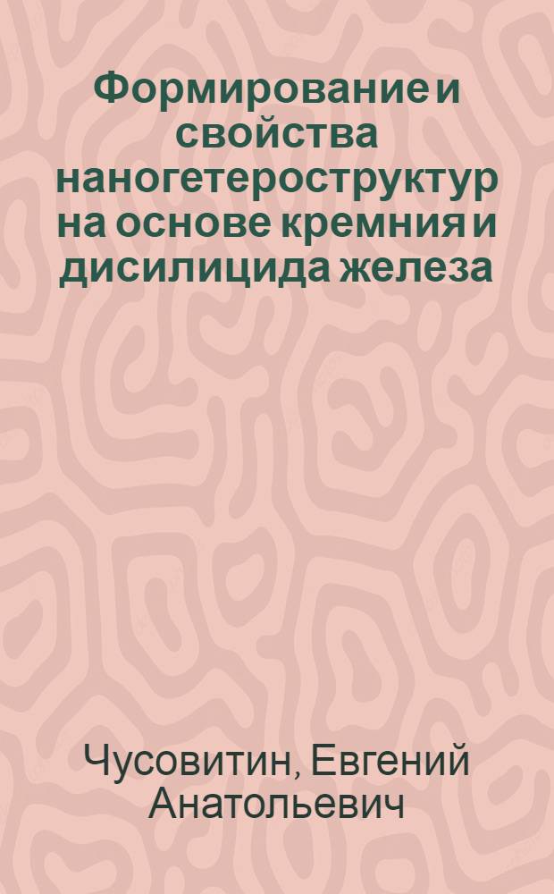 Формирование и свойства наногетероструктур на основе кремния и дисилицида железа : автореф. дис. на соиск. учен. степ. канд. физ.-мат. наук : специальность 01.04.10 <Физика полупроводников>