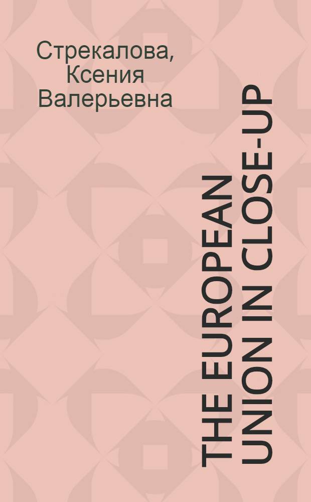 The European Union in close-up : учебное пособие для студентов 3 курса д/о МПФ