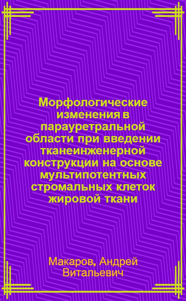 Морфологические изменения в парауретральной области при введении тканеинженерной конструкции на основе мультипотентных стромальных клеток жировой ткани : автореф. дис. на соиск. учен. степ. канд. мед. наук : специальность 03.00.25 <Гистология, цитология, клеточная биология>