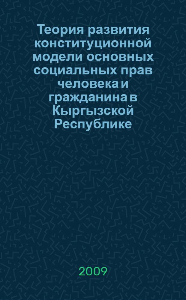 Теория развития конституционной модели основных социальных прав человека и гражданина в Кыргызской Республике : автореферат диссертации на соискание ученой степени к.ю.н. : специальность 12.00.01