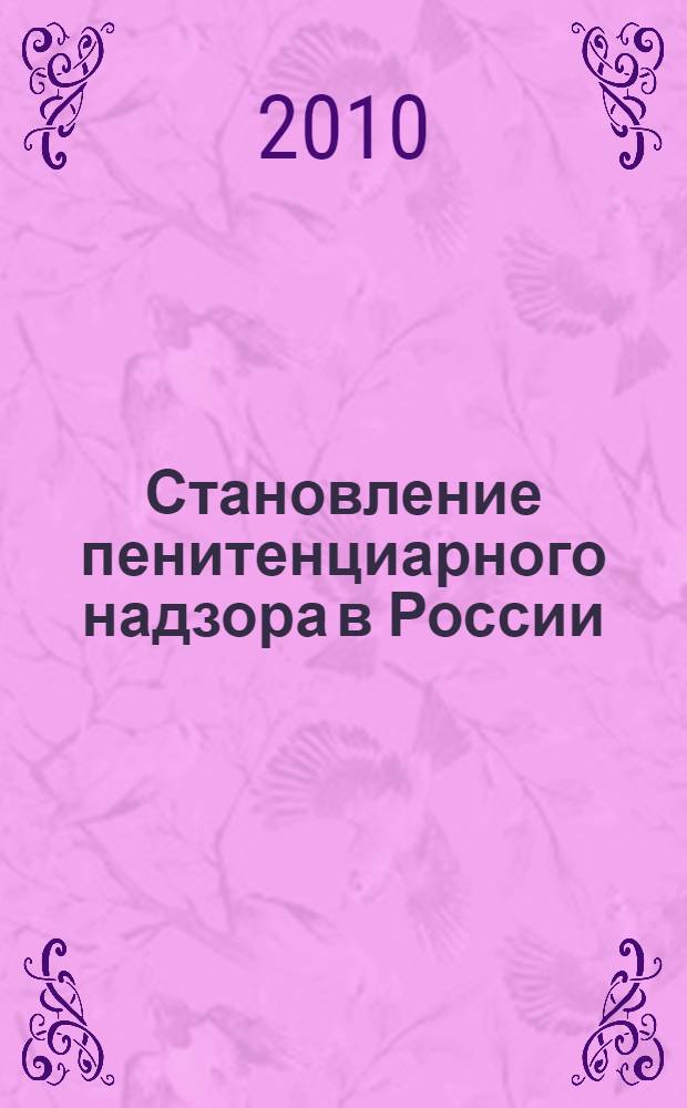 Становление пенитенциарного надзора в России: исторические аспекты : монография