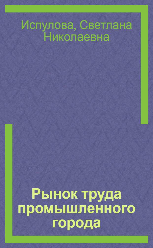 Рынок труда промышленного города : монография