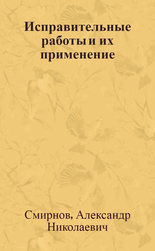 Исправительные работы и их применение : учебное пособие