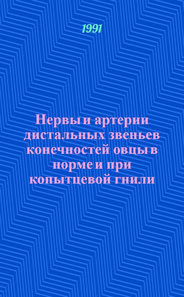Нервы и артерии дистальных звеньев конечностей овцы в норме и при копытцевой гнили : Автореф. дис. на соиск. учен. степ. к.вет.н