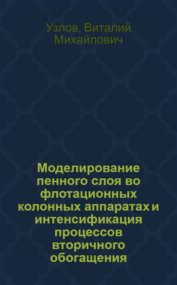 Моделирование пенного слоя во флотационных колонных аппаратах и интенсификация процессов вторичного обогащения : Автореф. дис. на соиск. учен. степ. к.т.н