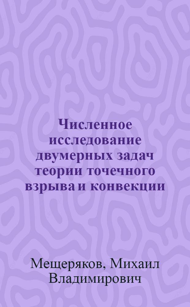 Численное исследование двумерных задач теории точечного взрыва и конвекции : Автореф. дис. на соиск. учен. степ. к.ф.-м.н. : Спец. 01.02.05