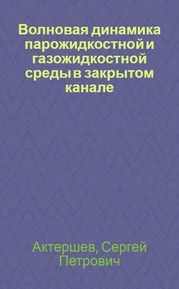 Волновая динамика парожидкостной и газожидкостной среды в закрытом канале : Автореф. дис. на соиск. учен. степ. к.ф.-м.н. : Спец. 01.02.05