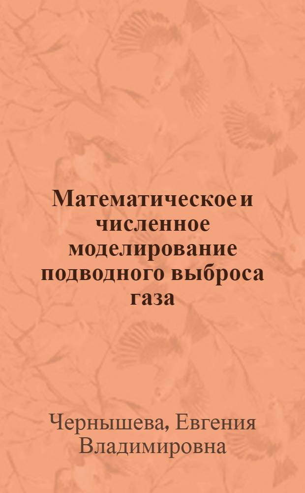 Математическое и численное моделирование подводного выброса газа : Автореф. дис. на соиск. учен. степ. к.ф.-м.н. : Спец. 05.13.16