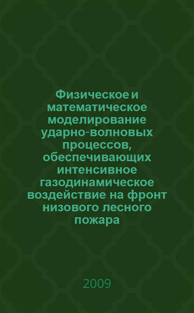 Физическое и математическое моделирование ударно-волновых процессов, обеспечивающих интенсивное газодинамическое воздействие на фронт низового лесного пожара : автореферат диссертации на соискание ученой степени кандидата физико-математических наук : специальность 01.02.05 <Механика жидкости, газа и плазмы> ; специальность 03.00.16 <Экология>