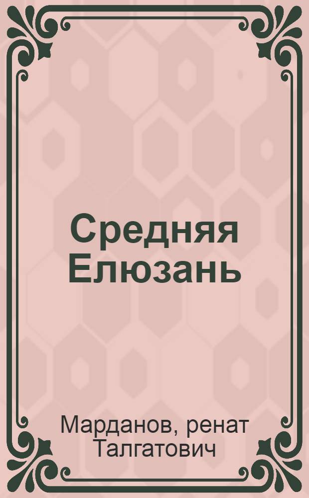 Средняя Елюзань : страницы истории самого крупного татарского села России