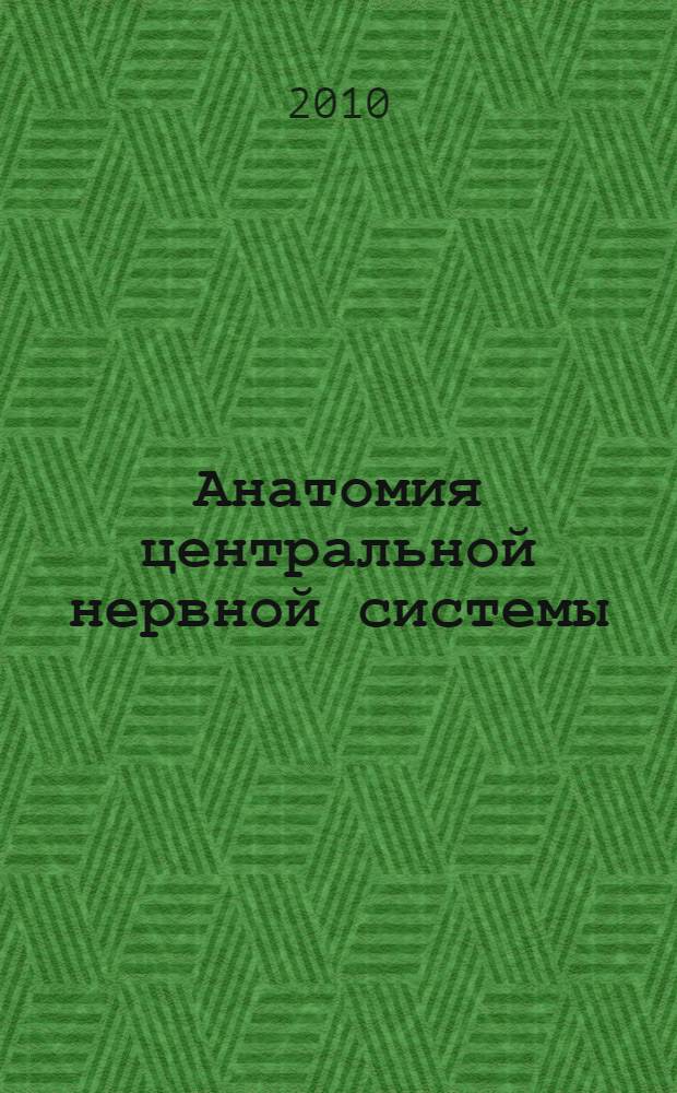 Анатомия центральной нервной системы : учебное пособие