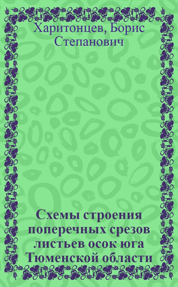 Схемы строения поперечных срезов листьев осок юга Тюменской области