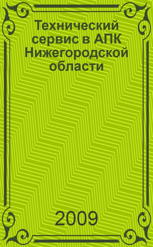 Технический сервис в АПК Нижегородской области: его современное состояние : монография