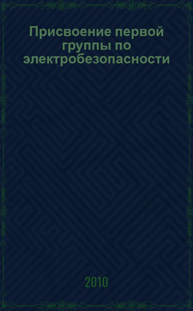 Присвоение первой группы по электробезопасности : (Общ. требования к персоналу)
