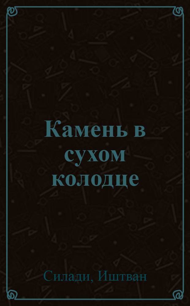 Камень в сухом колодце : роман