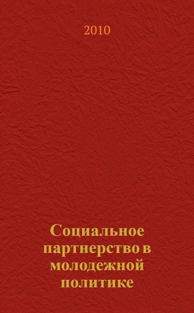 Социальное партнерство в молодежной политике: основы анализа и применения