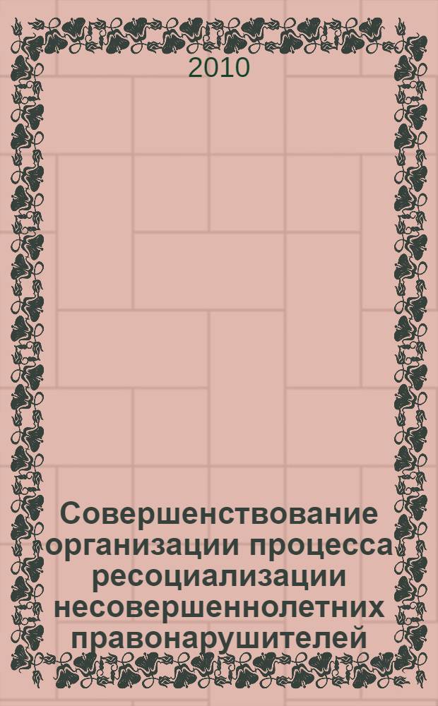 Совершенствование организации процесса ресоциализации несовершеннолетних правонарушителей : сборник статей