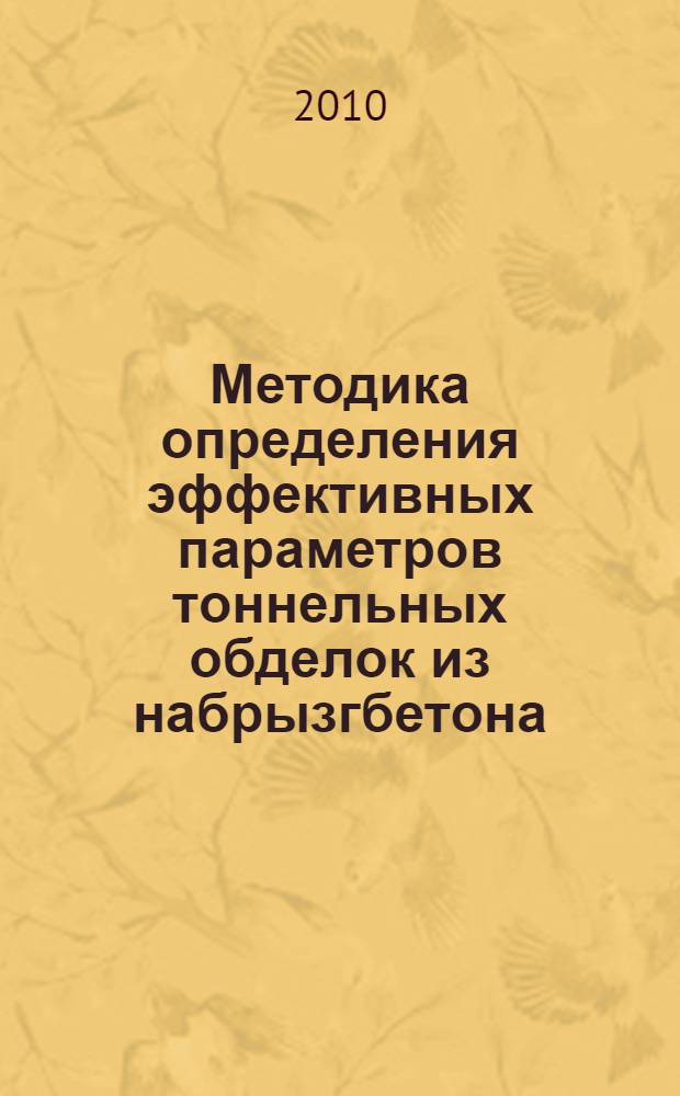Методика определения эффективных параметров тоннельных обделок из набрызгбетона : автореферат диссертации на соискание ученой степени кандидата технических наук : специальность 05.23.11 <Проетирование и строительство дорог, метрополитенов, аэродромов, мостов и транспортных тоннелей>